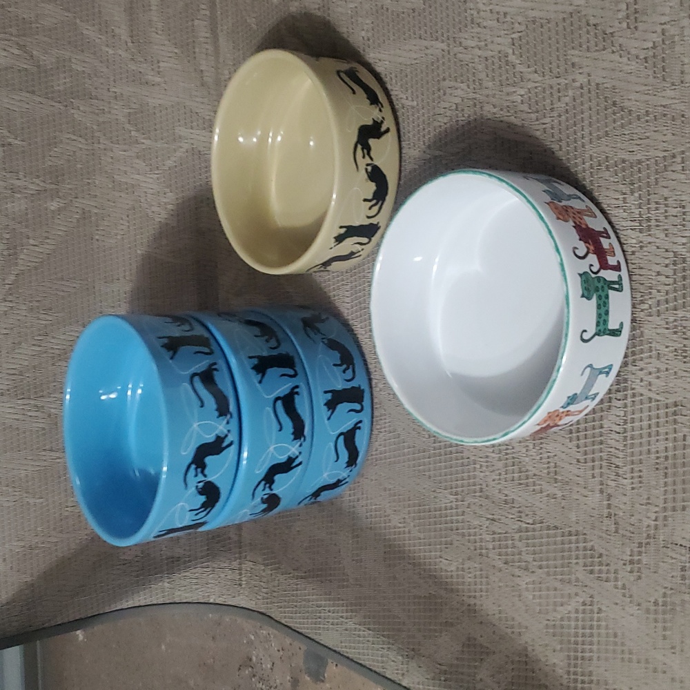 Only 2 Gold Bowls Left Cat-Themed Ceramic Bowls